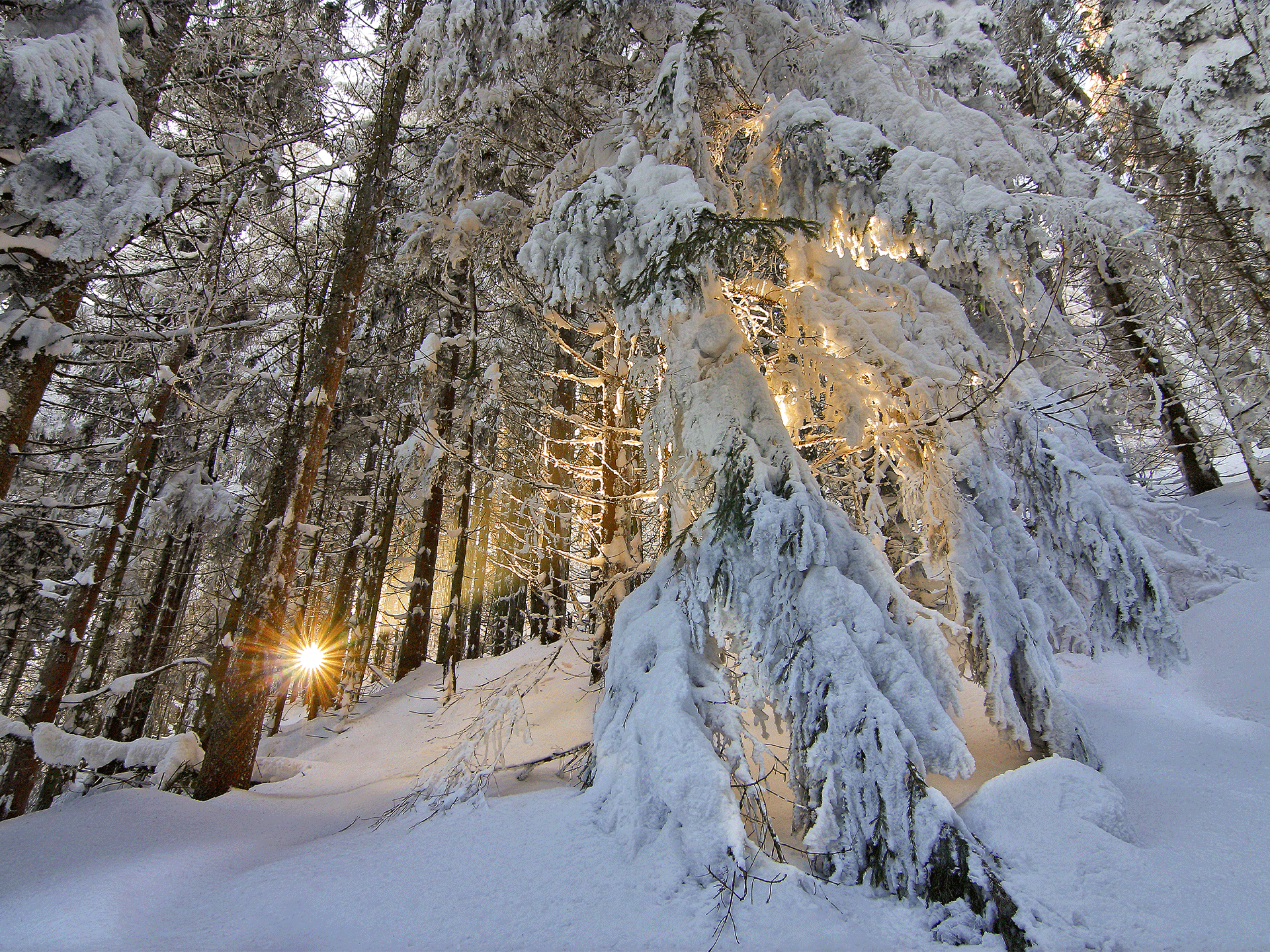 Saint-Quirin-credit--Claude-Rouschmeyer.png