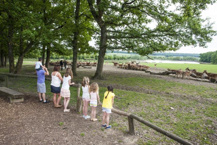 Parc Sainte-Croix