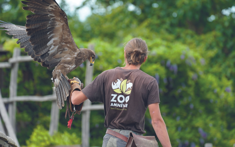 Zoo Aigle