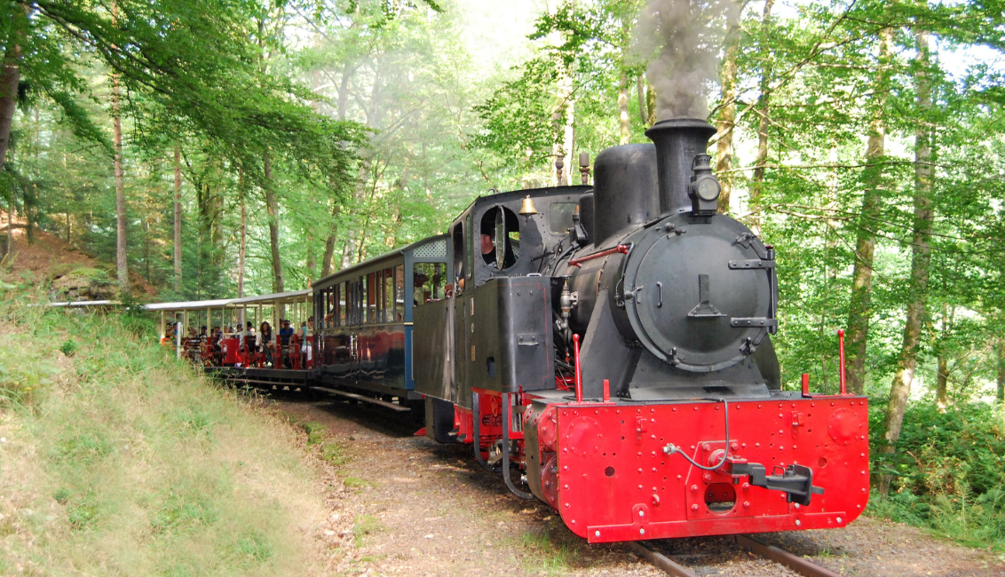 Slider (grand) - Le train forestier d'Abreschviller