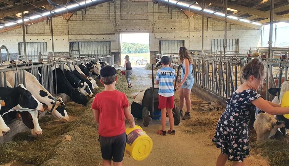 Ferme pédagogique de Zellen