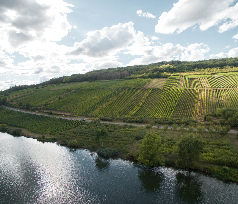 Paysage - Contz les bains