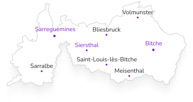 Carte du territoire de Bitche Sarreguemines